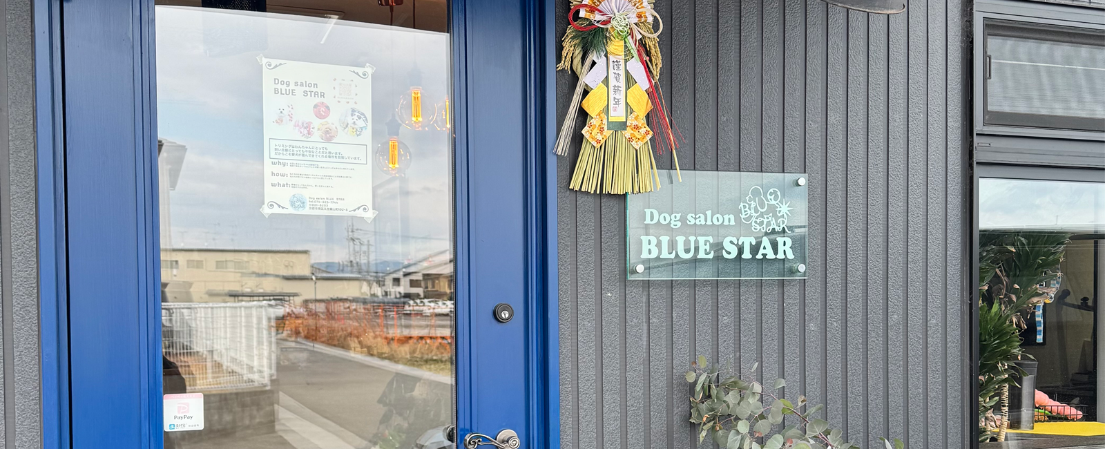 Dog　salon　BLUE　STAR